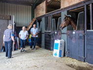 DS091023-69 - Dan Skelton stable visit